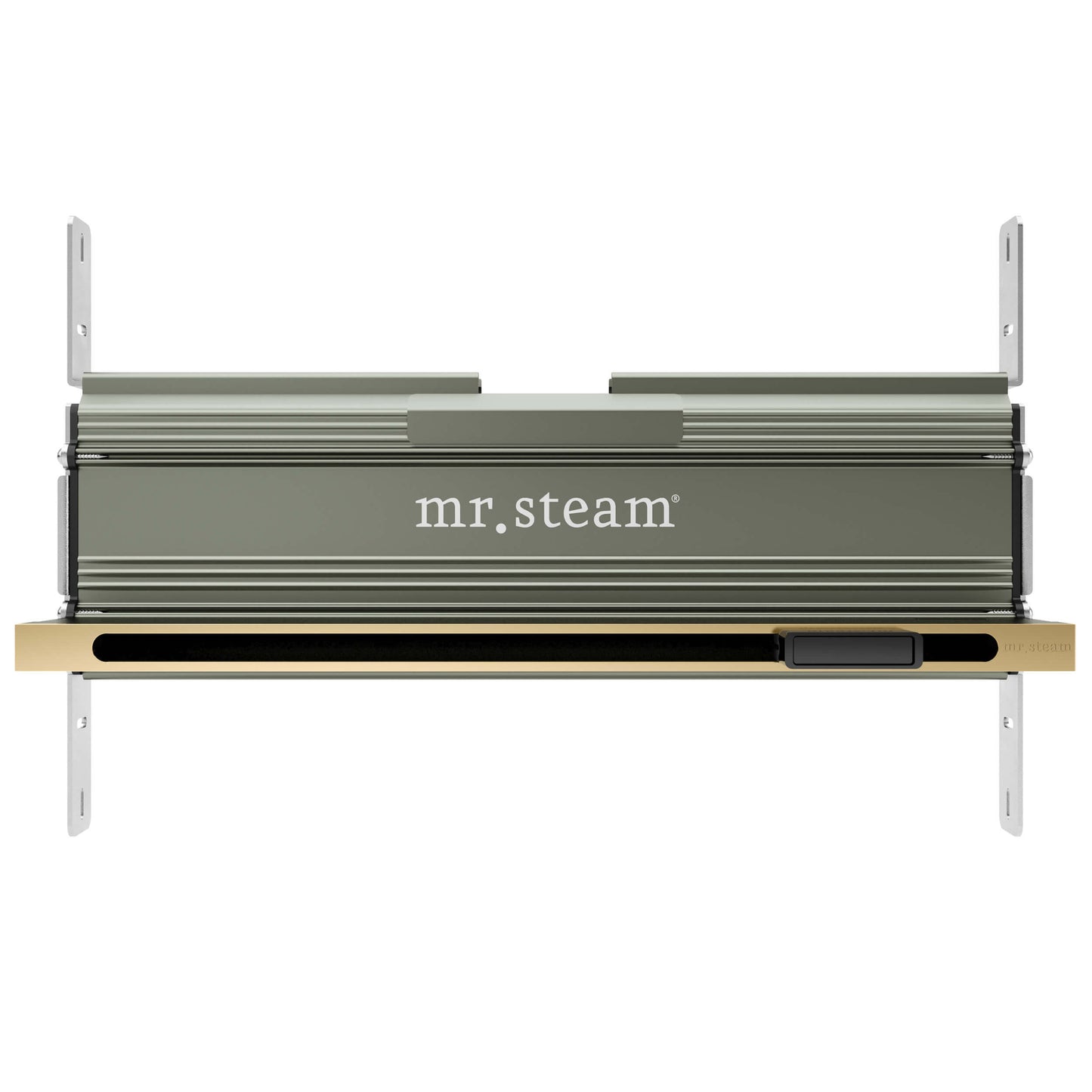 Mr. Steam Linear SteamHead 104480