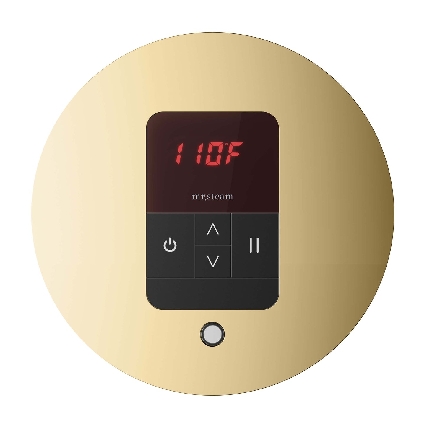 Mr. Steam MSITEMPO Control Package