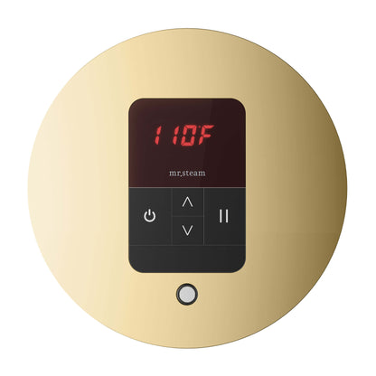 Mr. Steam MSITEMPO Control Package