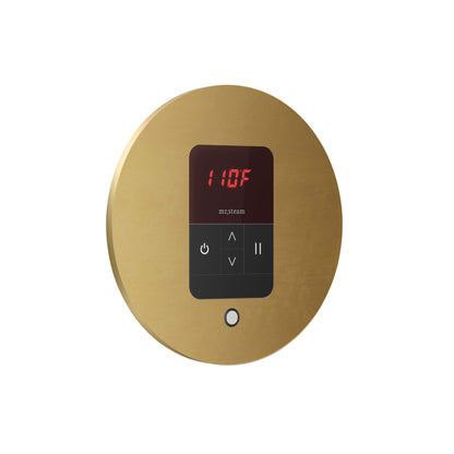 Mr. Steam MSITEMPO Control Package