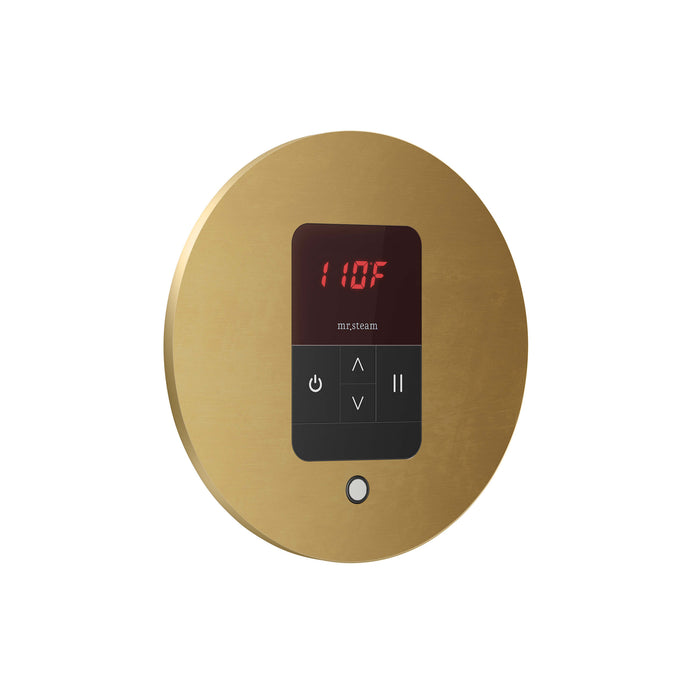 Mr. Steam MSITEMPO Control Package