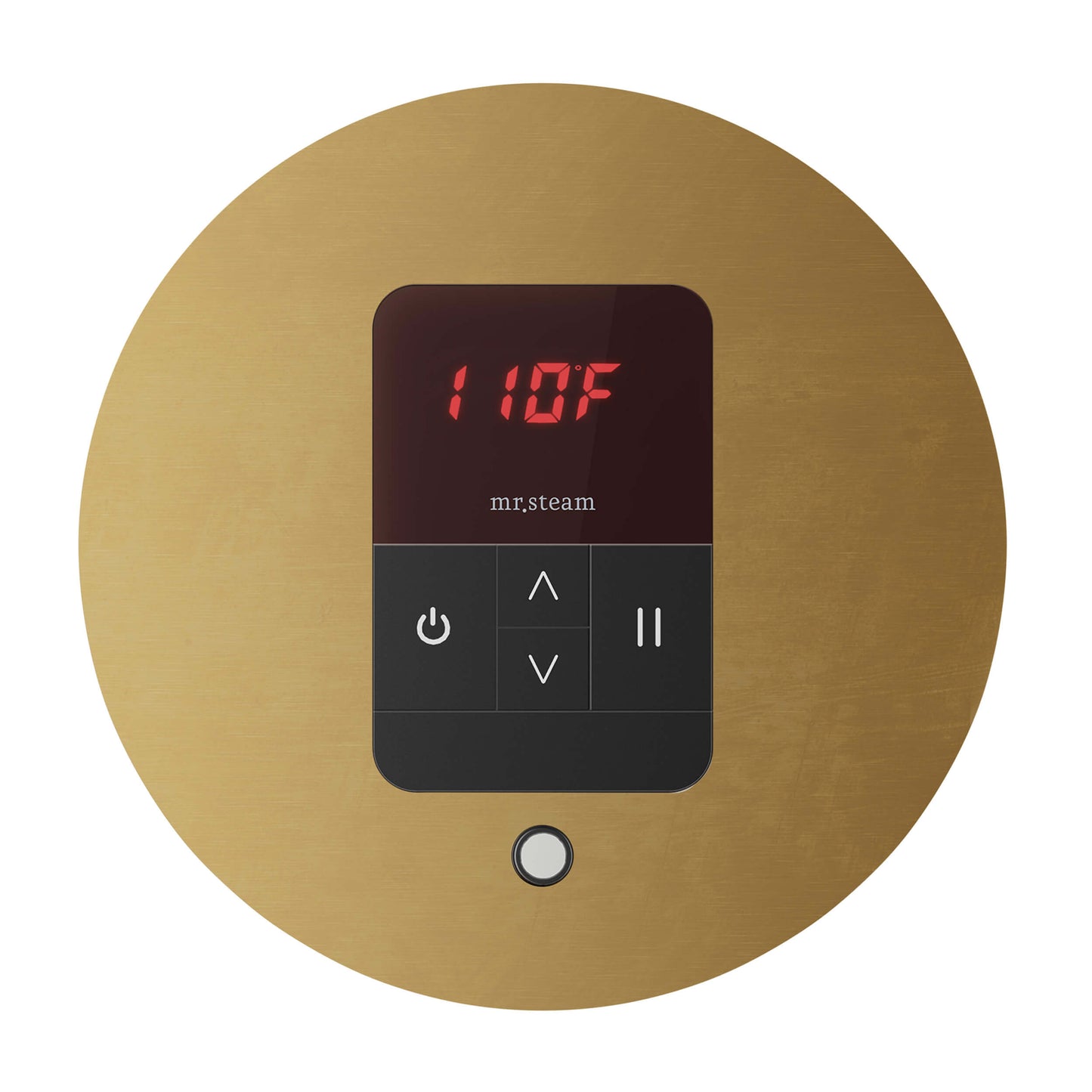 Mr. Steam MSITEMPO Control Package