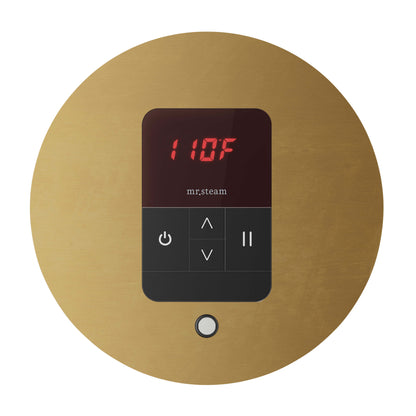 Mr. Steam MSITEMPO Control Package