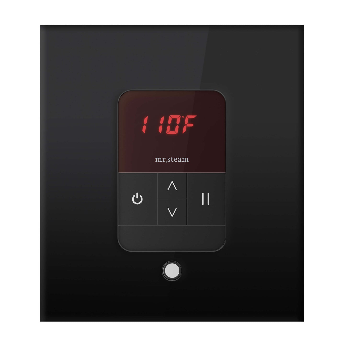 Mr. Steam MSITEMPO Control Package