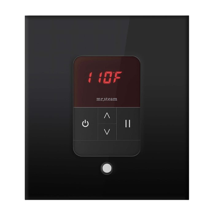 Mr. Steam MSITEMPO Control Package