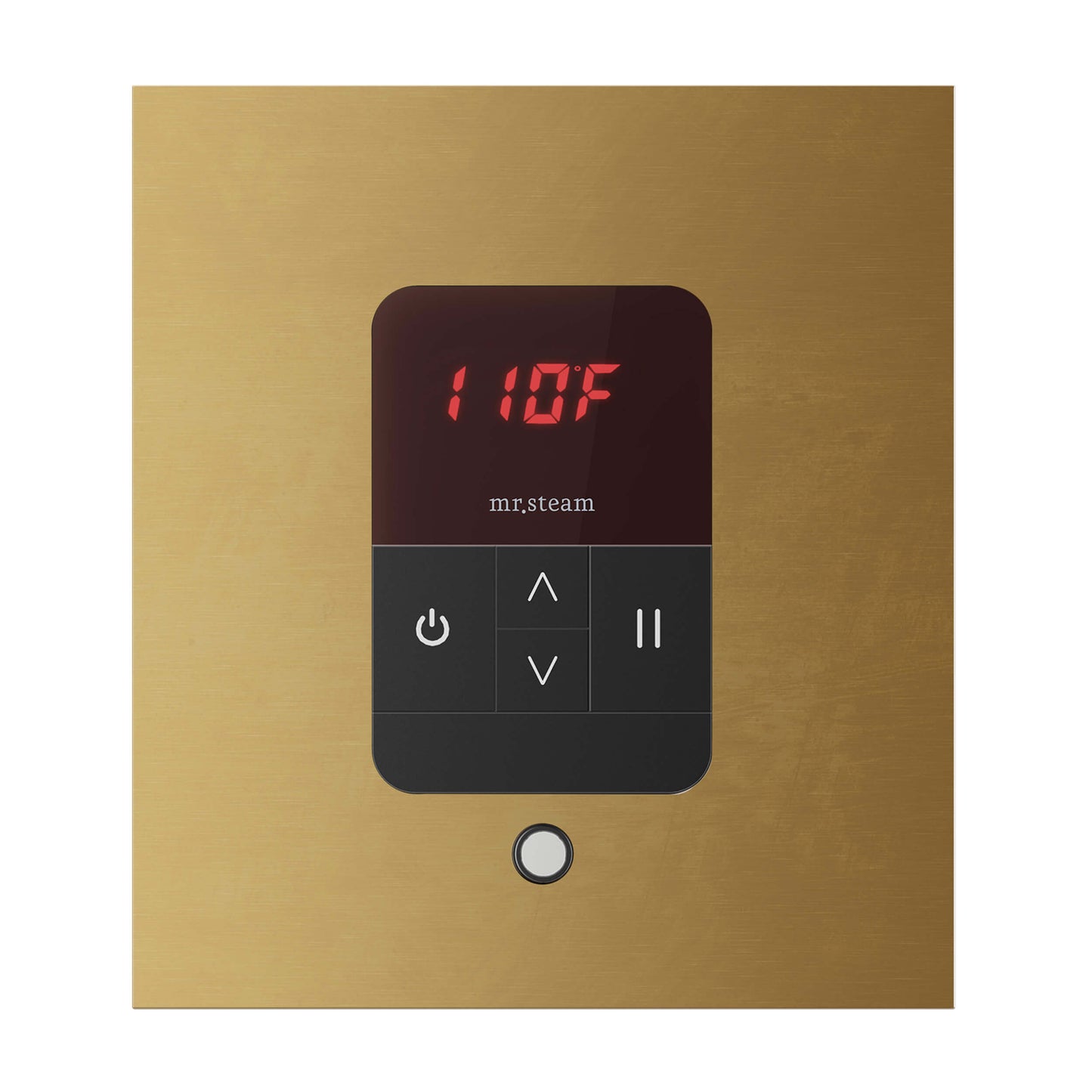 Mr. Steam MSITEMPO Control Package