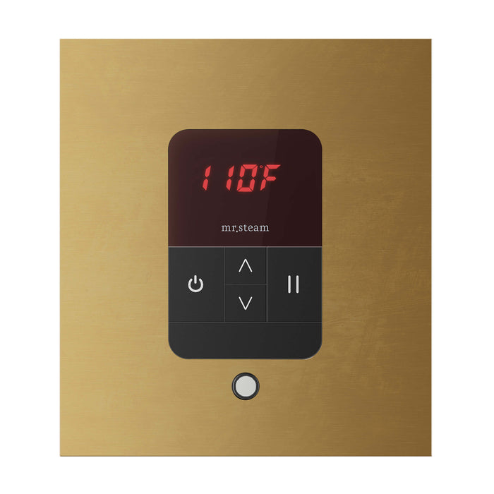 Mr. Steam MSITEMPO Control Package